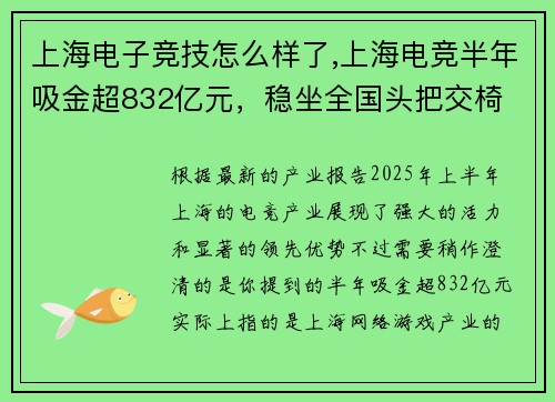 上海电子竞技怎么样了,上海电竞半年吸金超832亿元，稳坐全国头把交椅